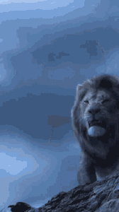 Gif animé lion rugit
